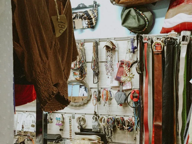 A selection of collars and accessories on display